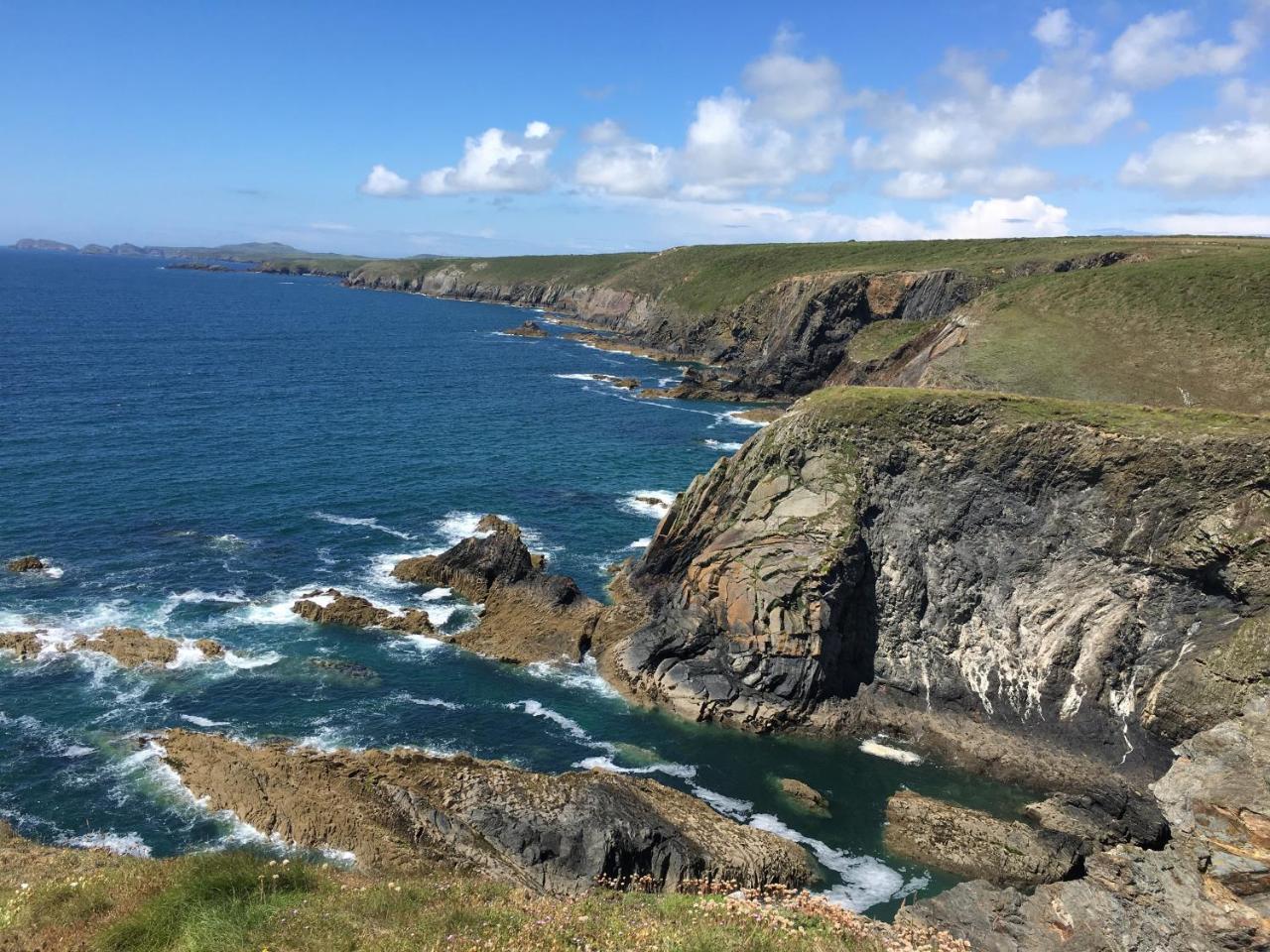 The Cambrian Inn Solva Bagian luar foto