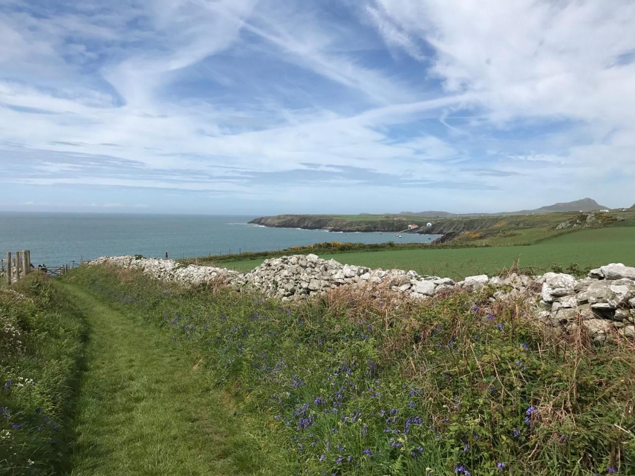 The Cambrian Inn Solva Bagian luar foto